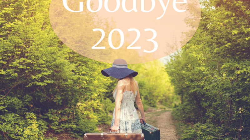 Reflecting on 2023 – Growing Pains